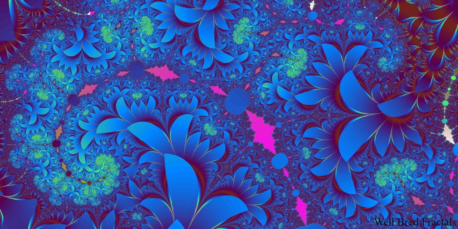 Panoramic Fractal 14