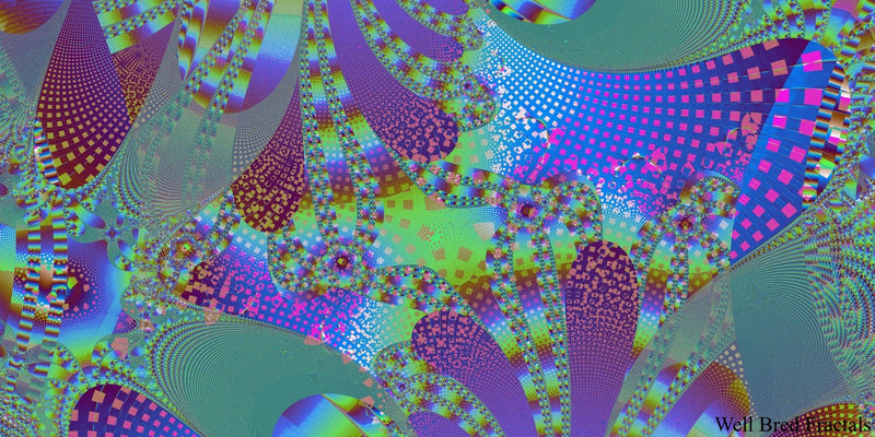 Panoramic Fractal 9