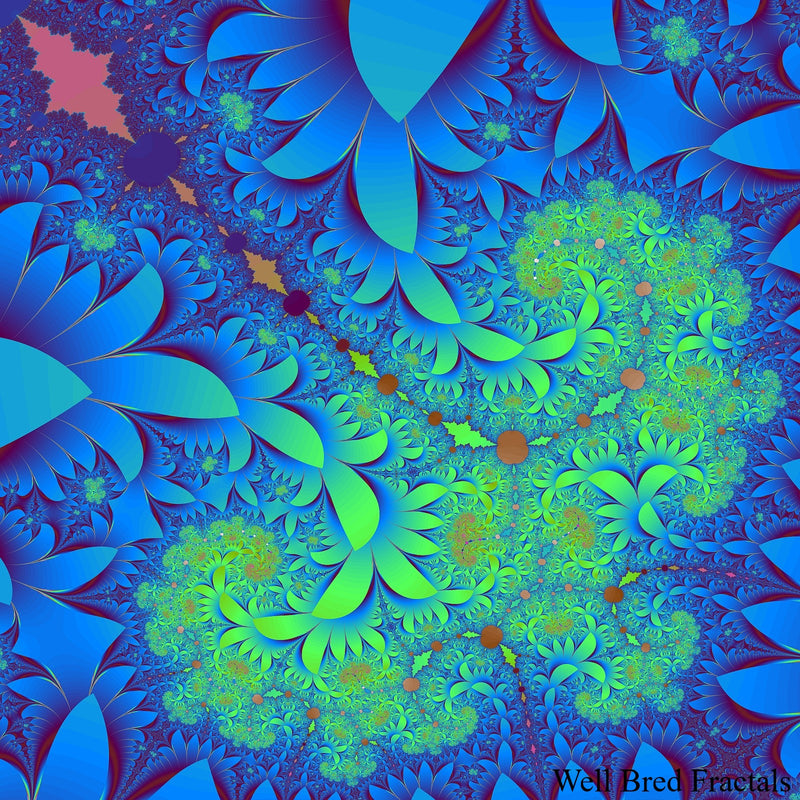 Square Fractal 10