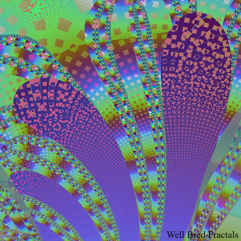Square Fractal 50