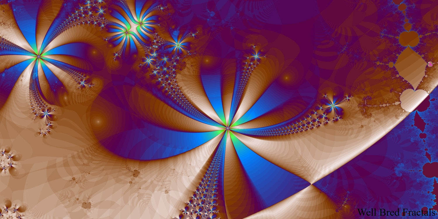 Panoramic Fractal 17