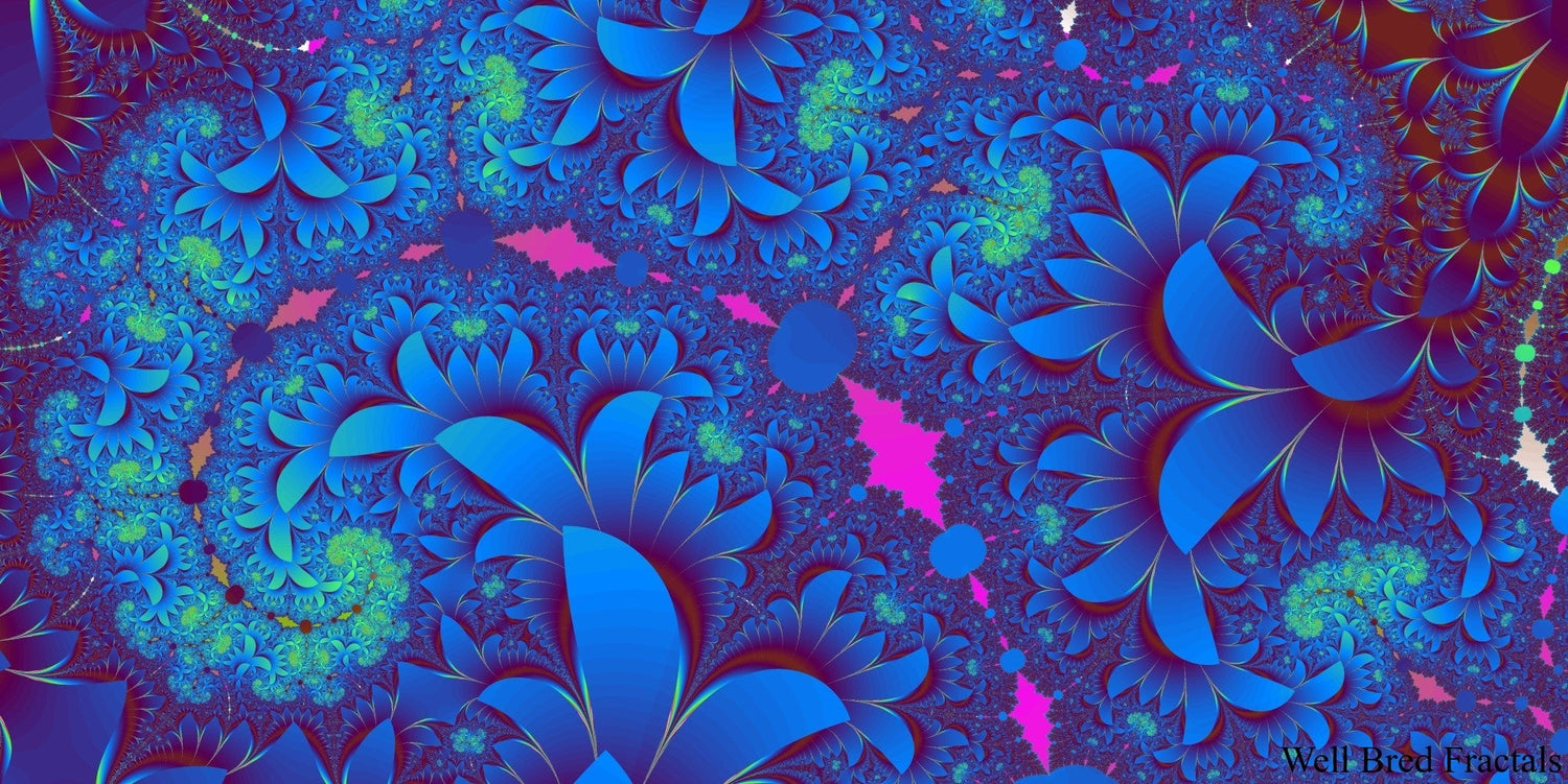 Top 10 Panoramic Fractals