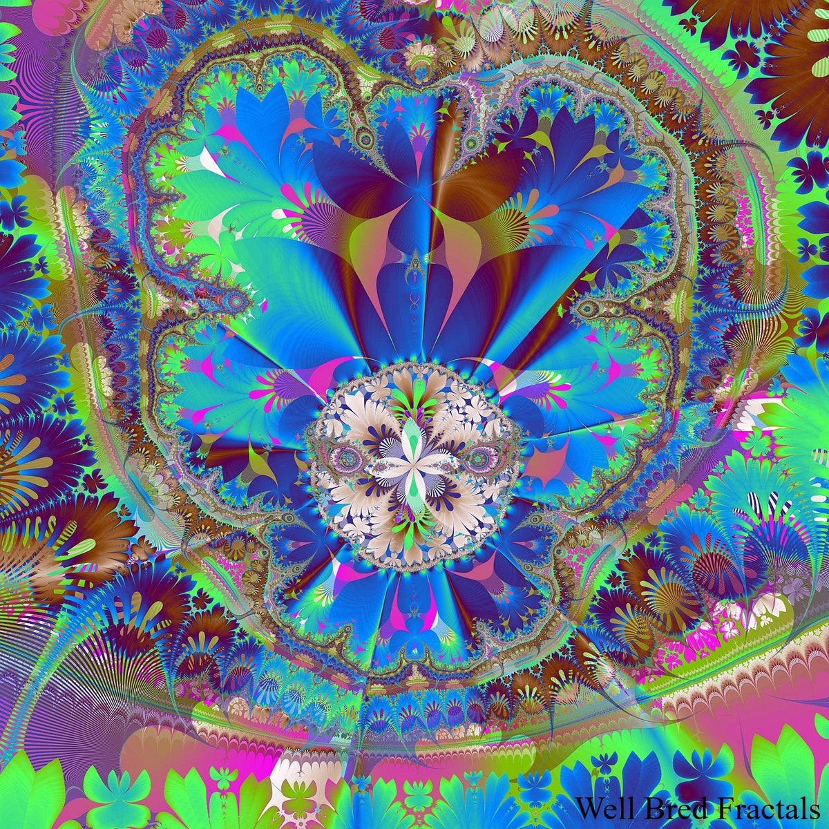 240 square Well Bred Fractals