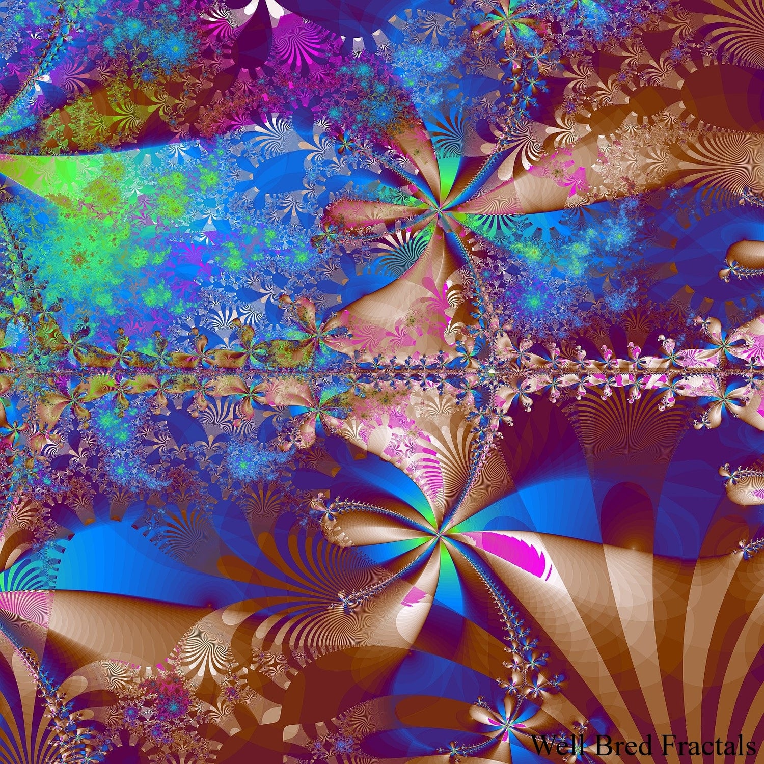 Top 10 Square Fractals
