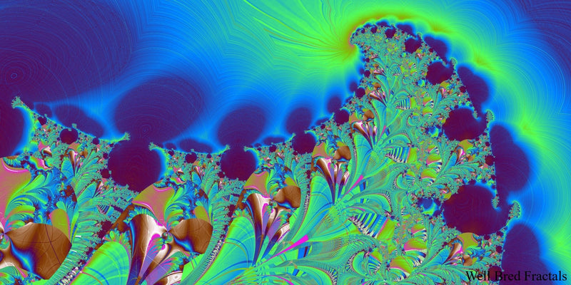 Panoramic Fractal 49