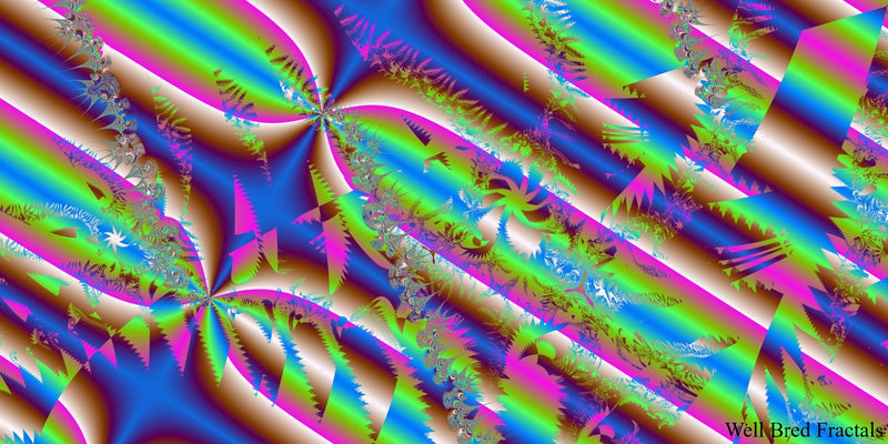 Panoramic Fractal 13