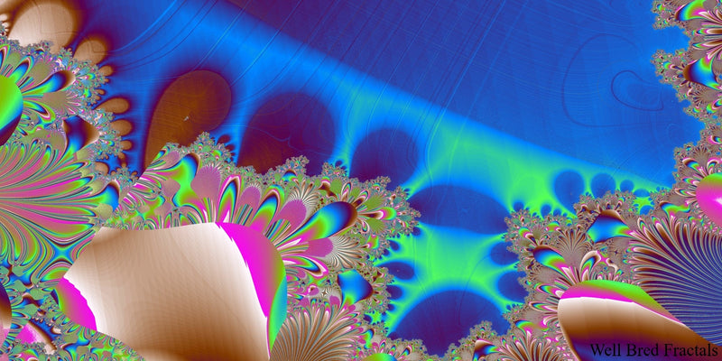 Panoramic Fractal 47