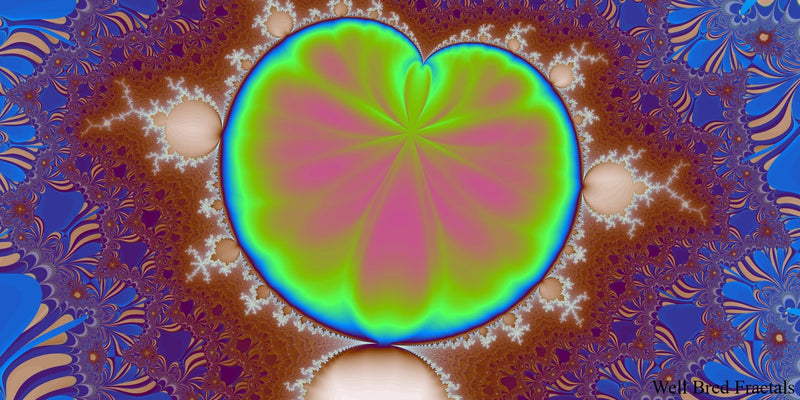 Panoramic Fractal 41