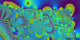 Panoramic Fractal 6