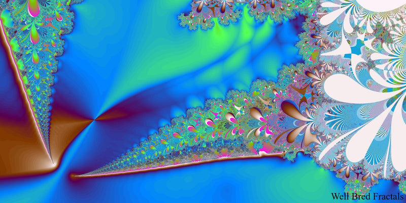 Panoramic Fractal 46