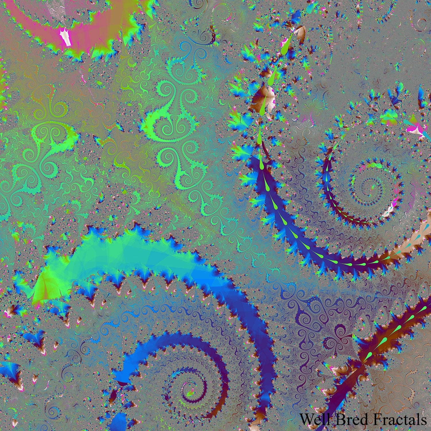 Square Fractal 1
