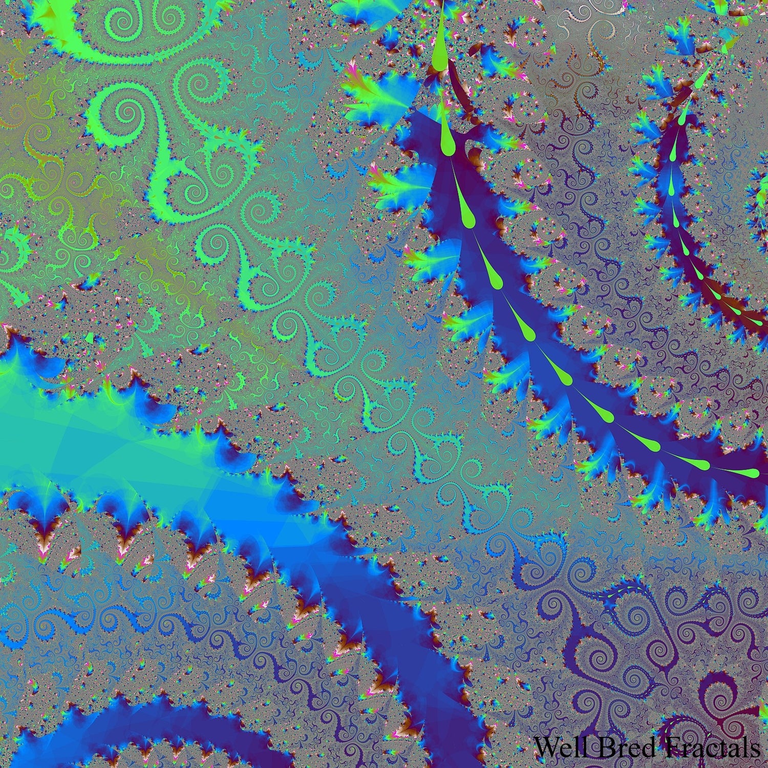 Square Fractal 2