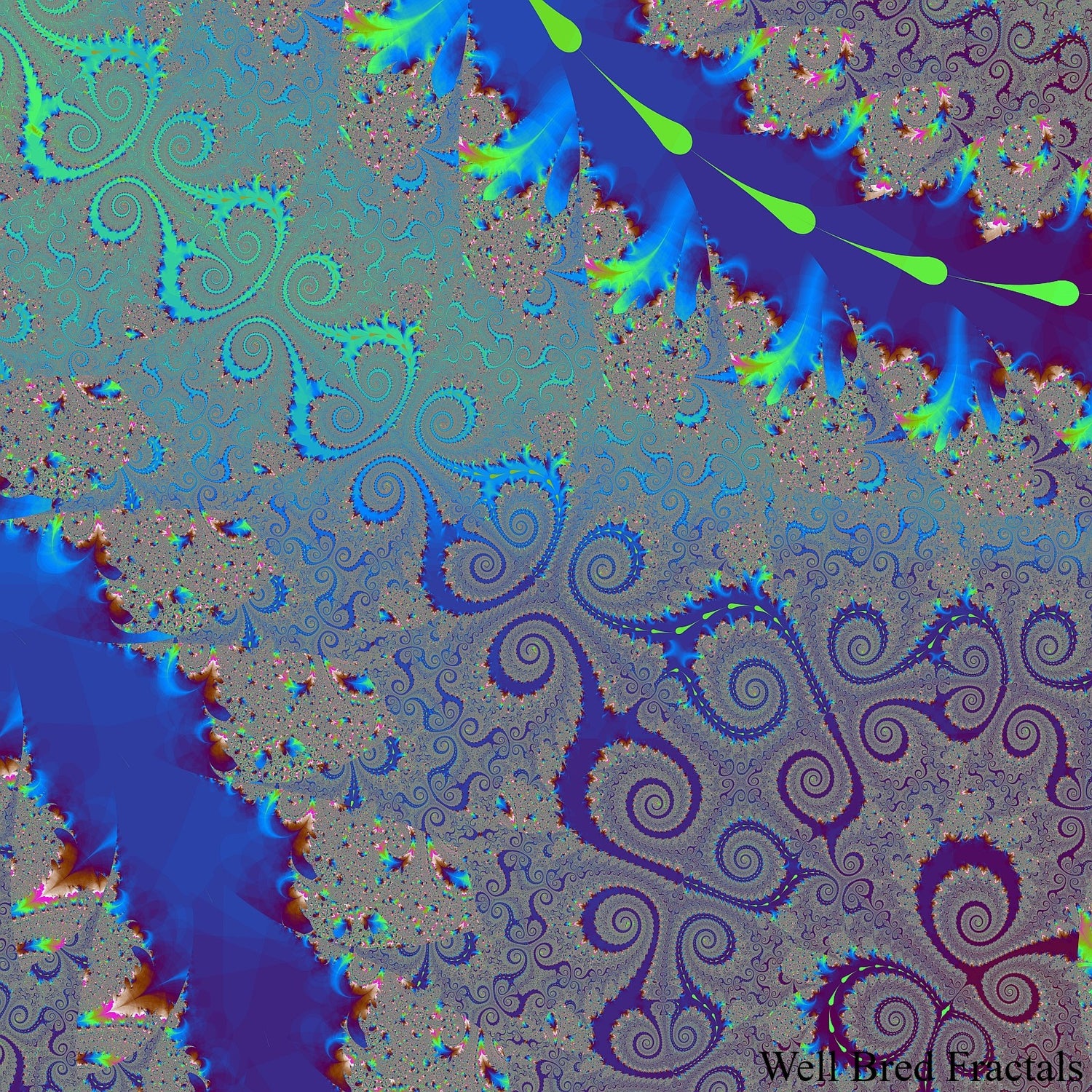 Square Fractal 3