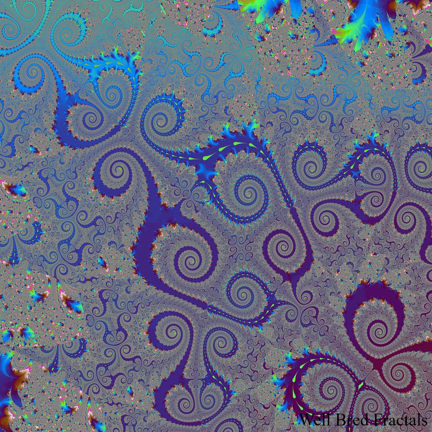 Square Fractal 4