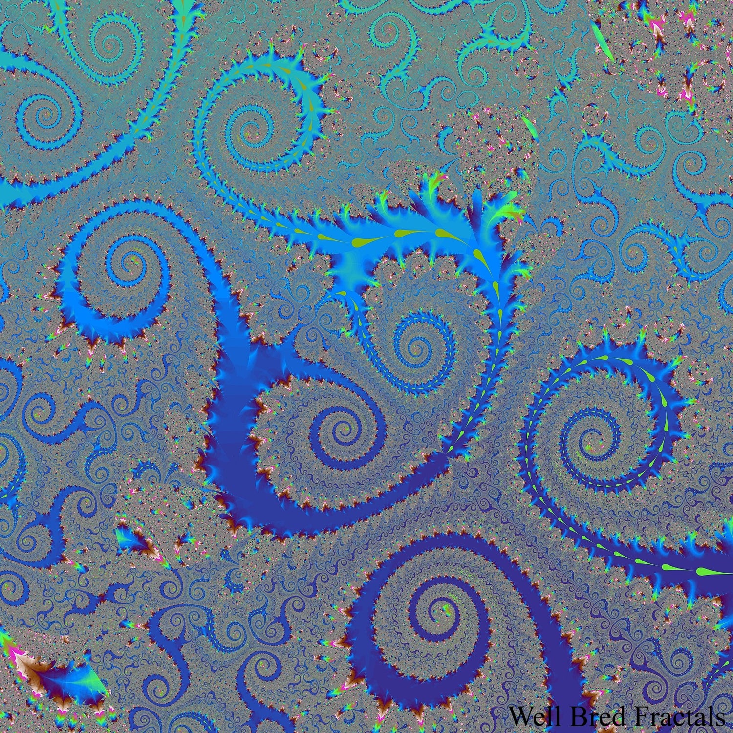 Square Fractal 6