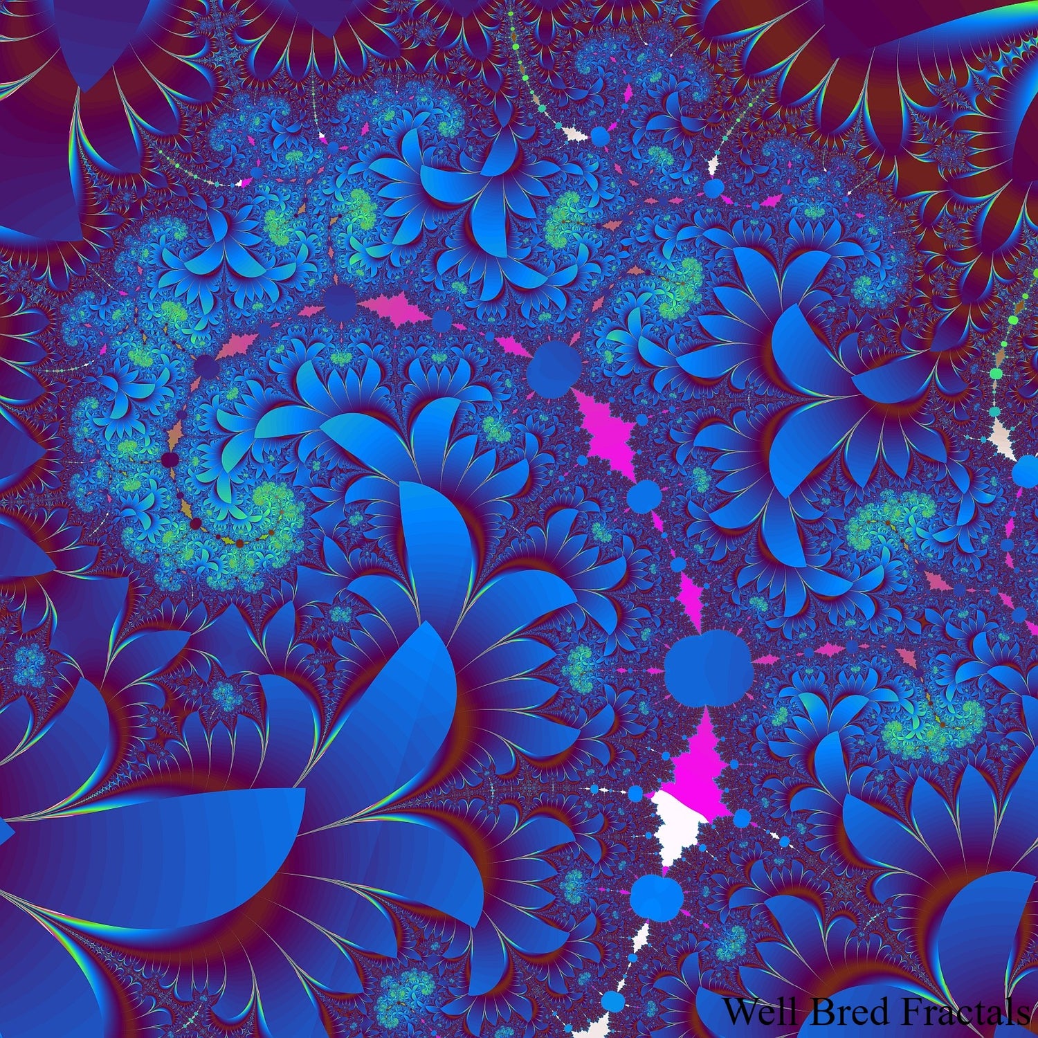 Square Fractal 7