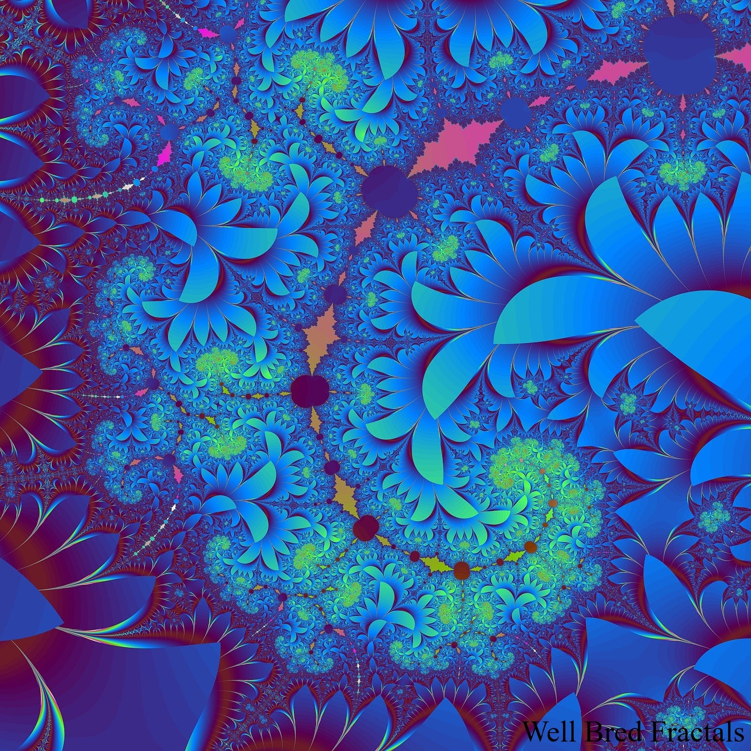 Square Fractal 8