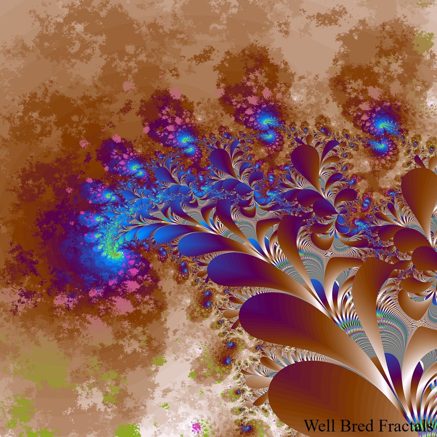 Square Fractal 11