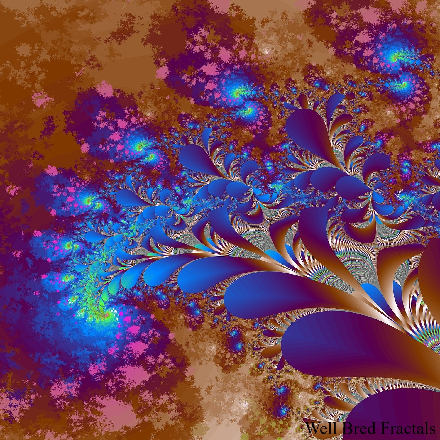 Square Fractal 12