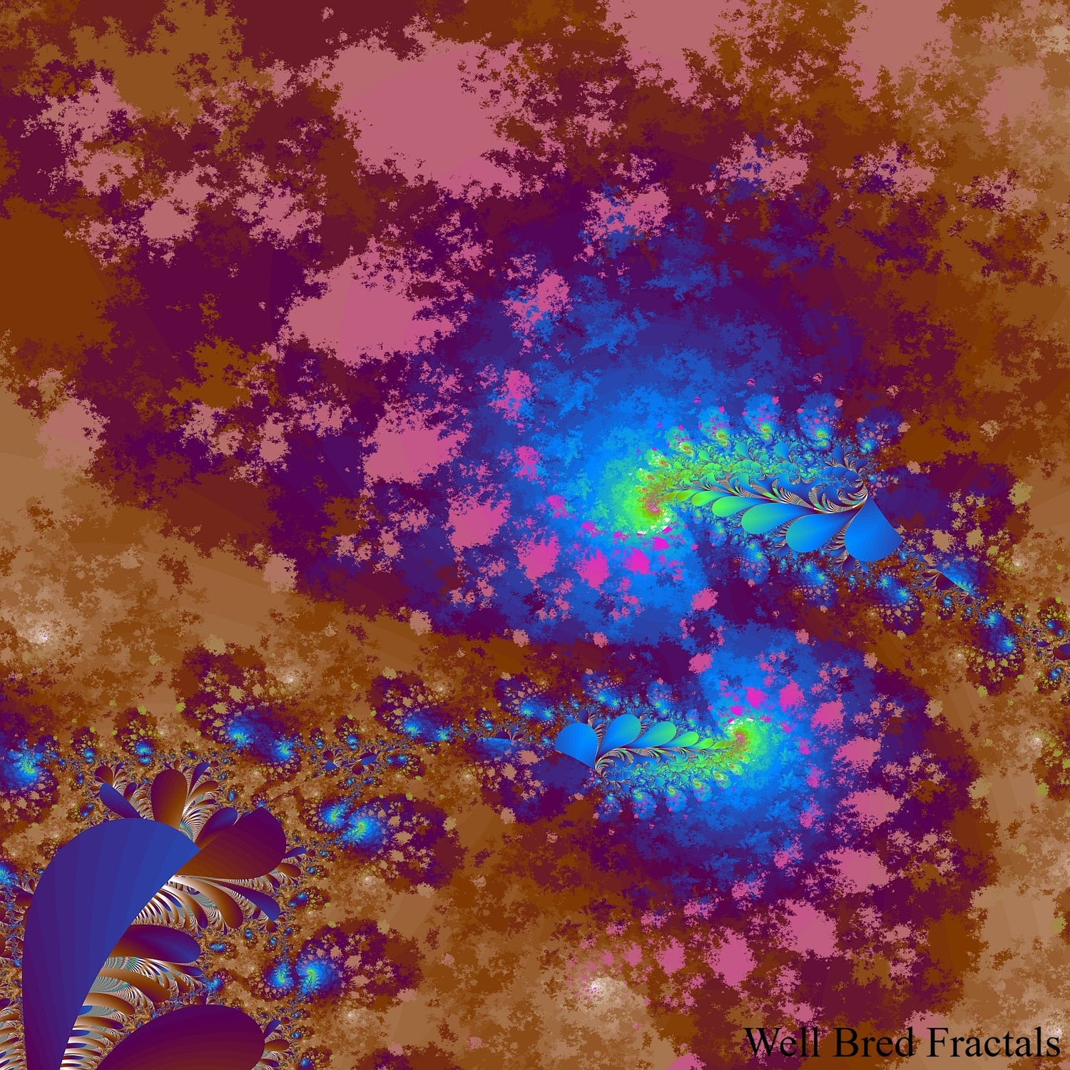 Square Fractal 13