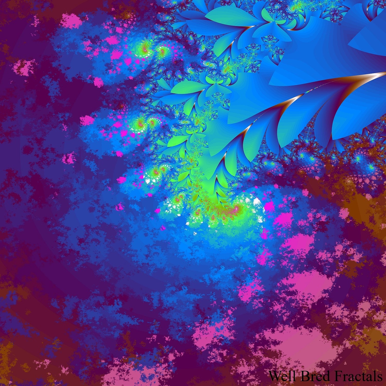 Square Fractal 14