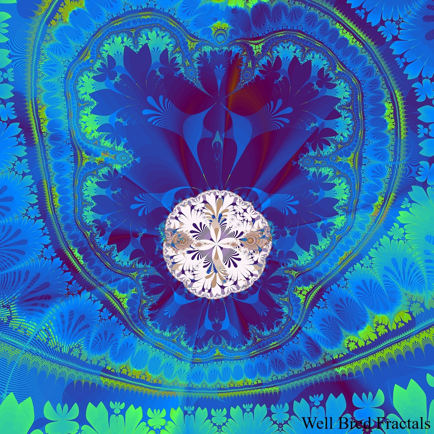 Square Fractal 15