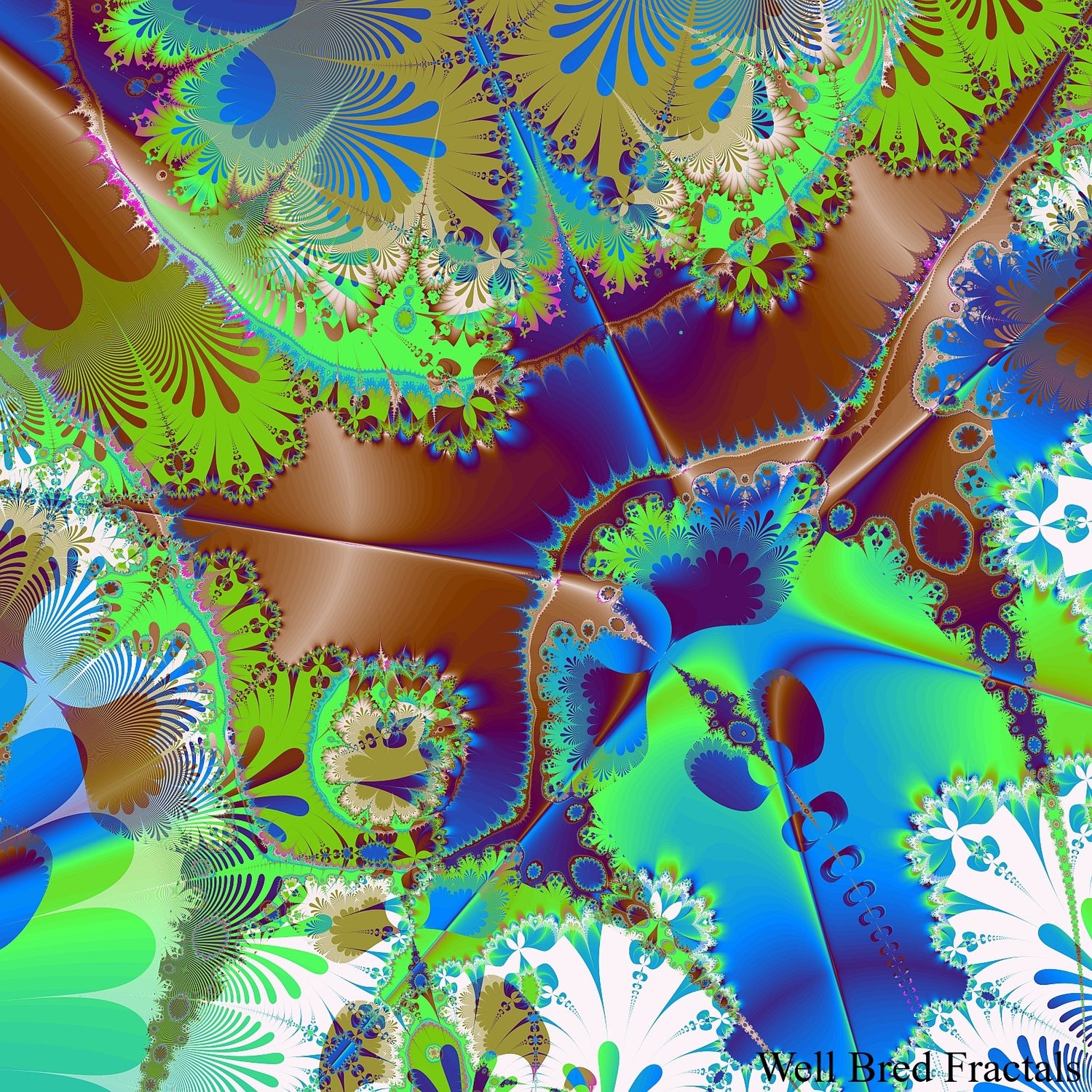 Square Fractal 21
