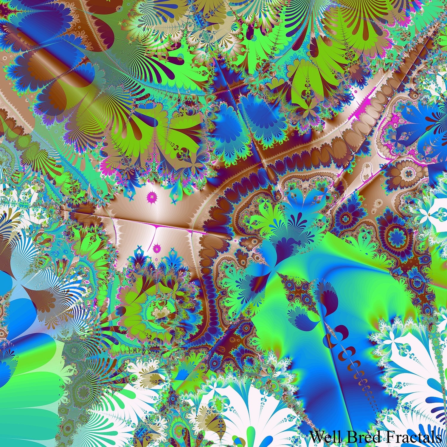 Square Fractal 23