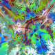 Square Fractal 23
