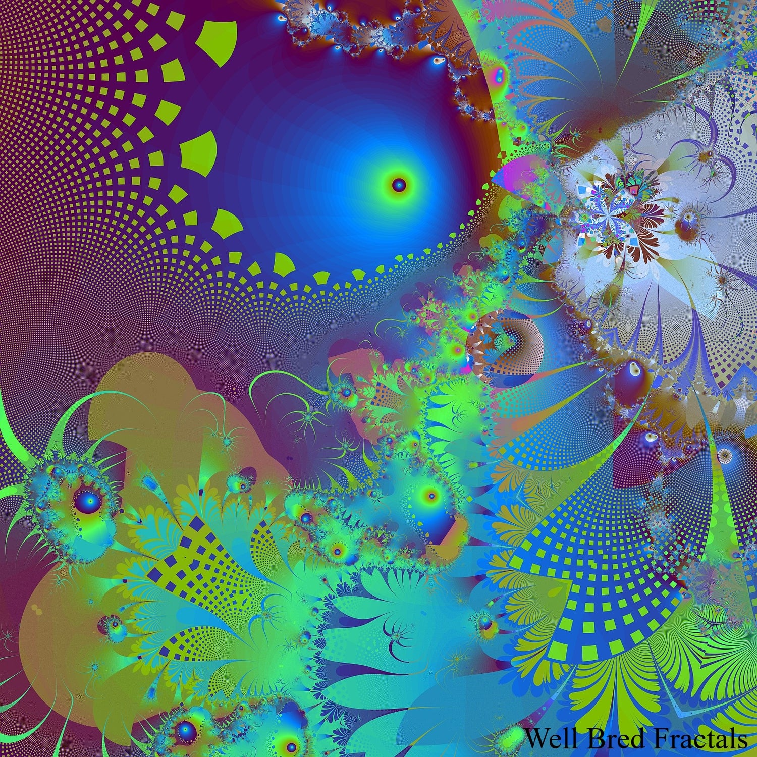 Square Fractal 25