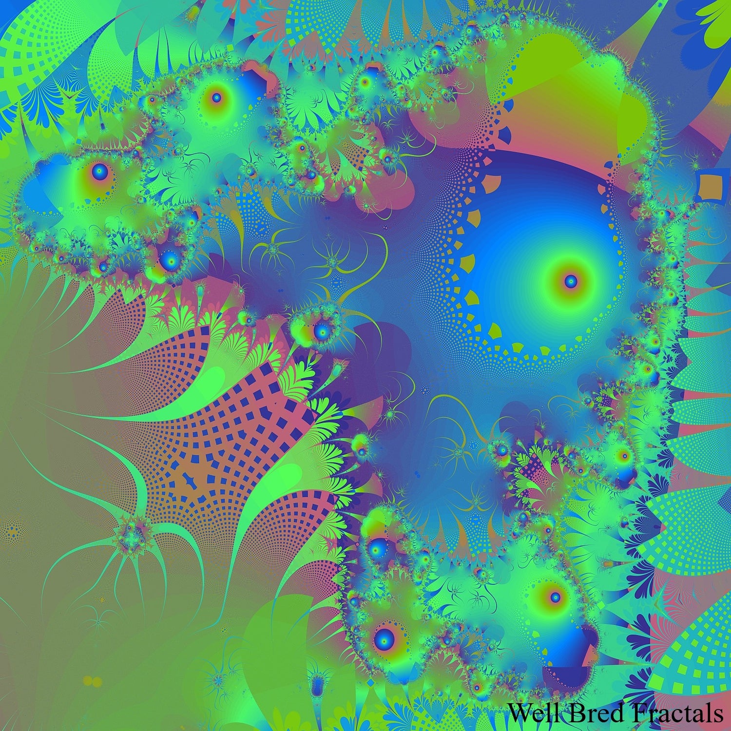 Square Fractal 28