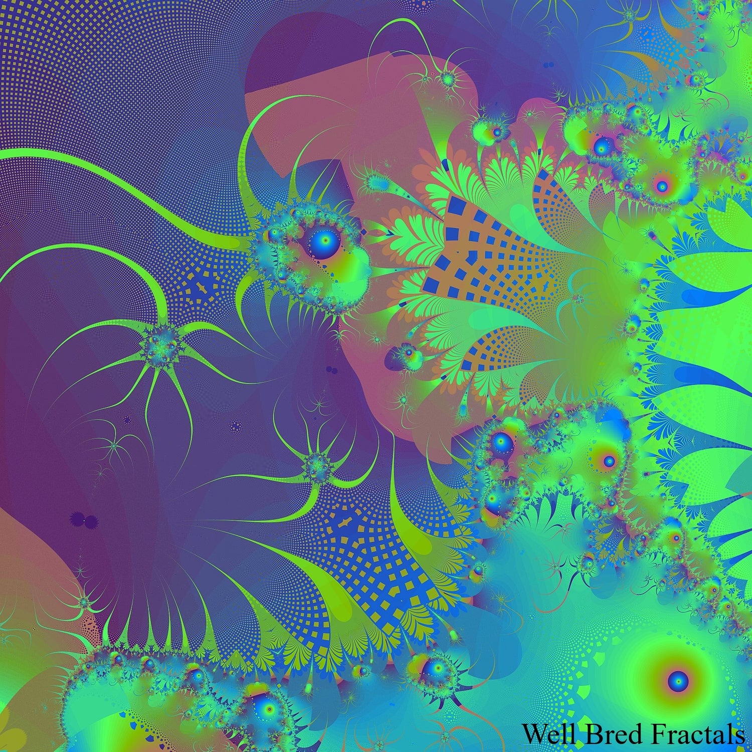 Square Fractal 29