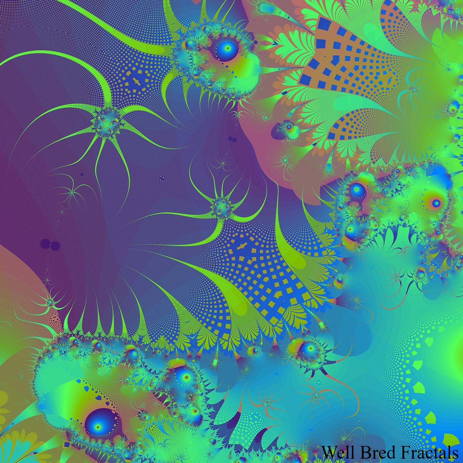 Square Fractal 30