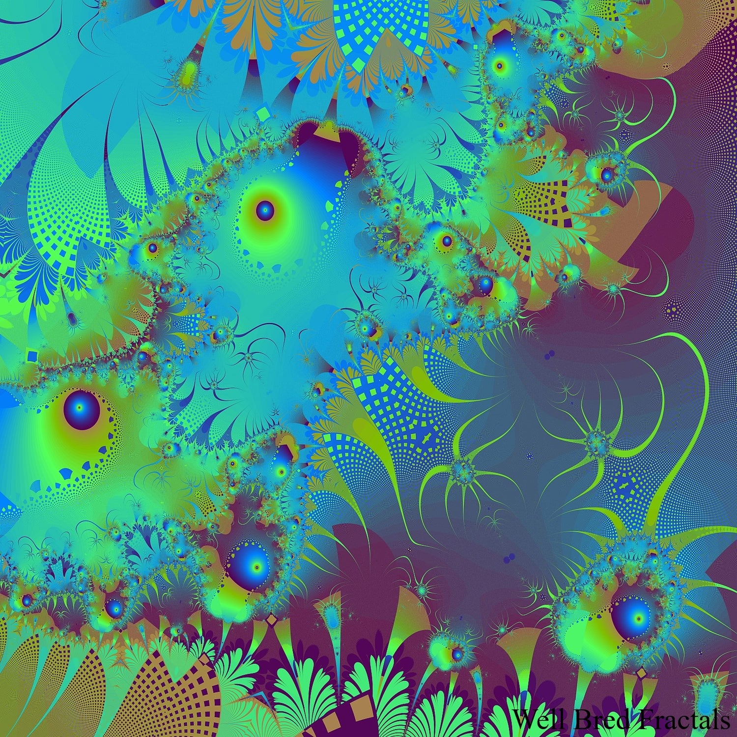 Square Fractal 31