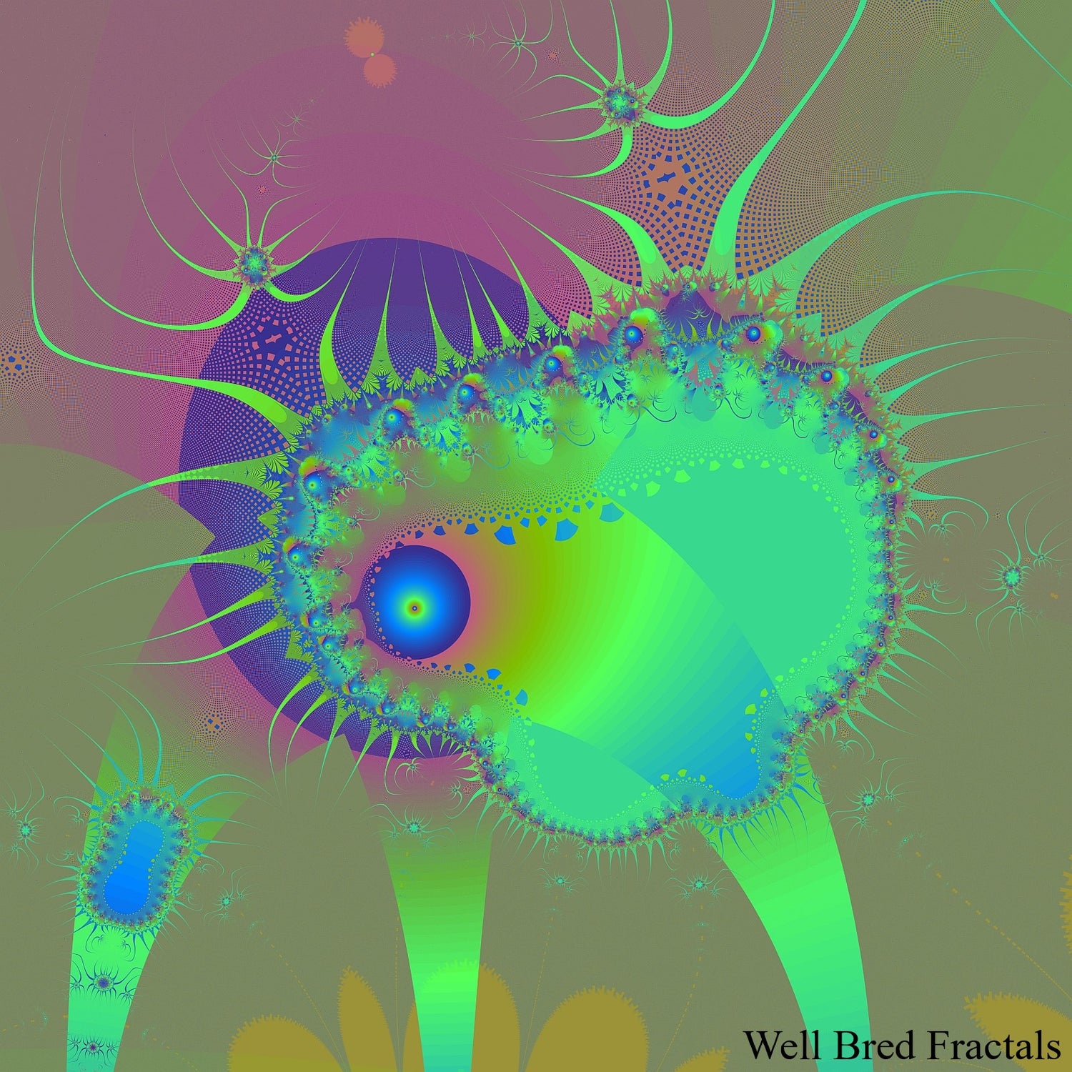 Square Fractal 39