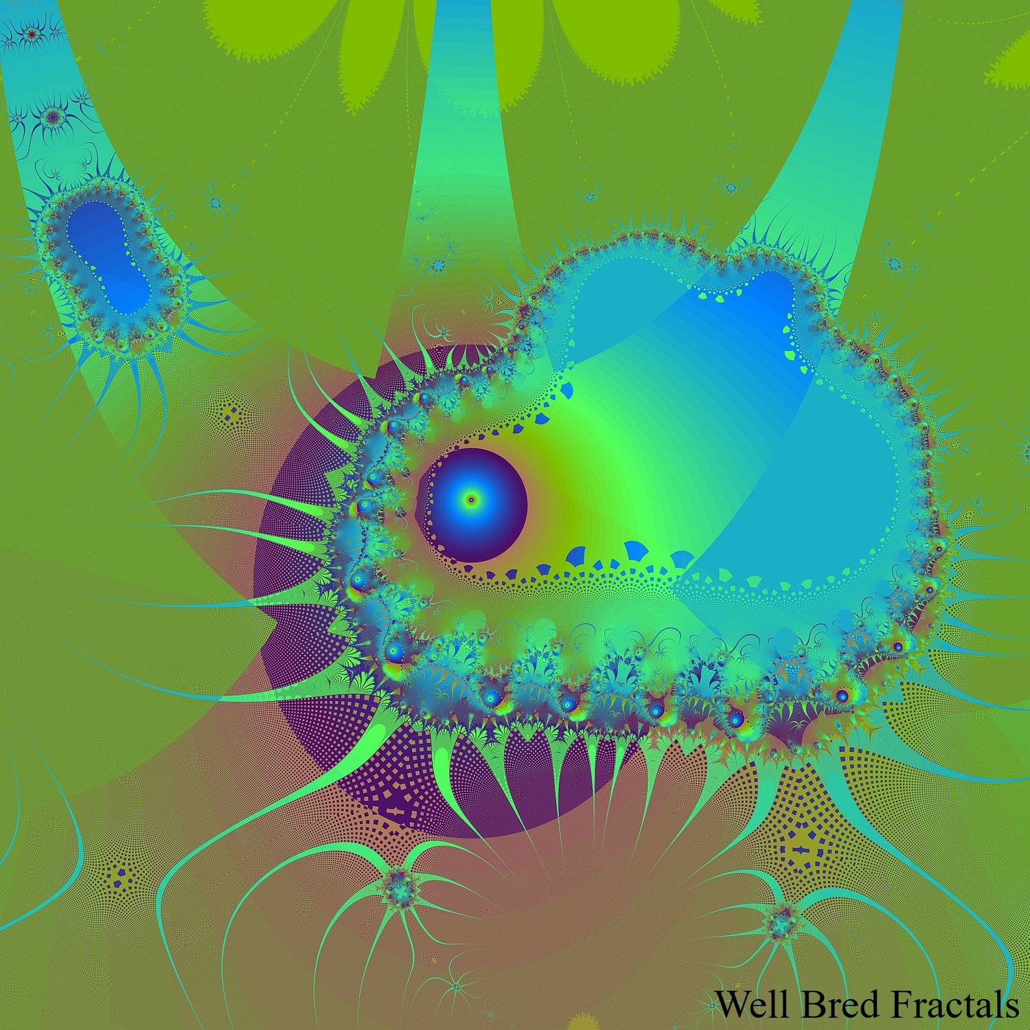 Square Fractal 40
