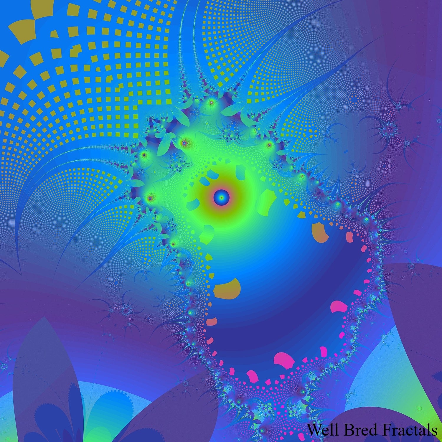 Square Fractal 41