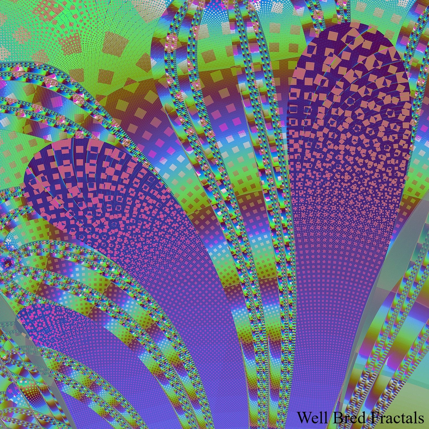 Square Fractal 50