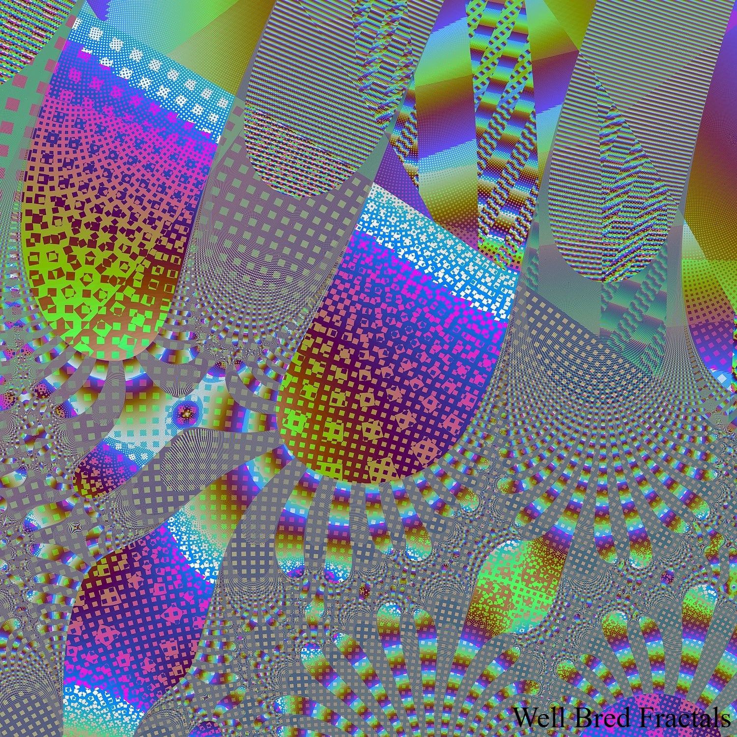 Square Fractal 54