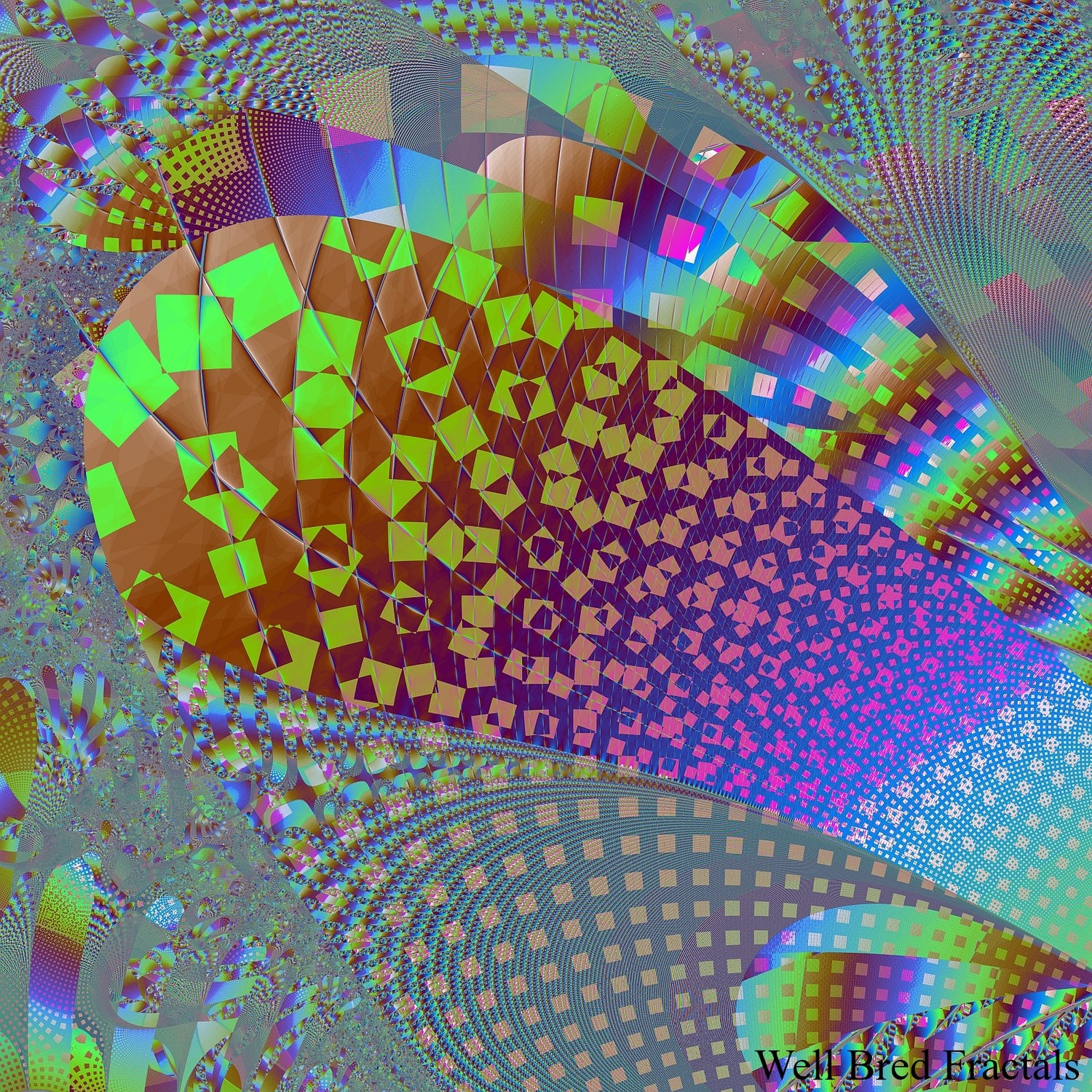 Square Fractal 55