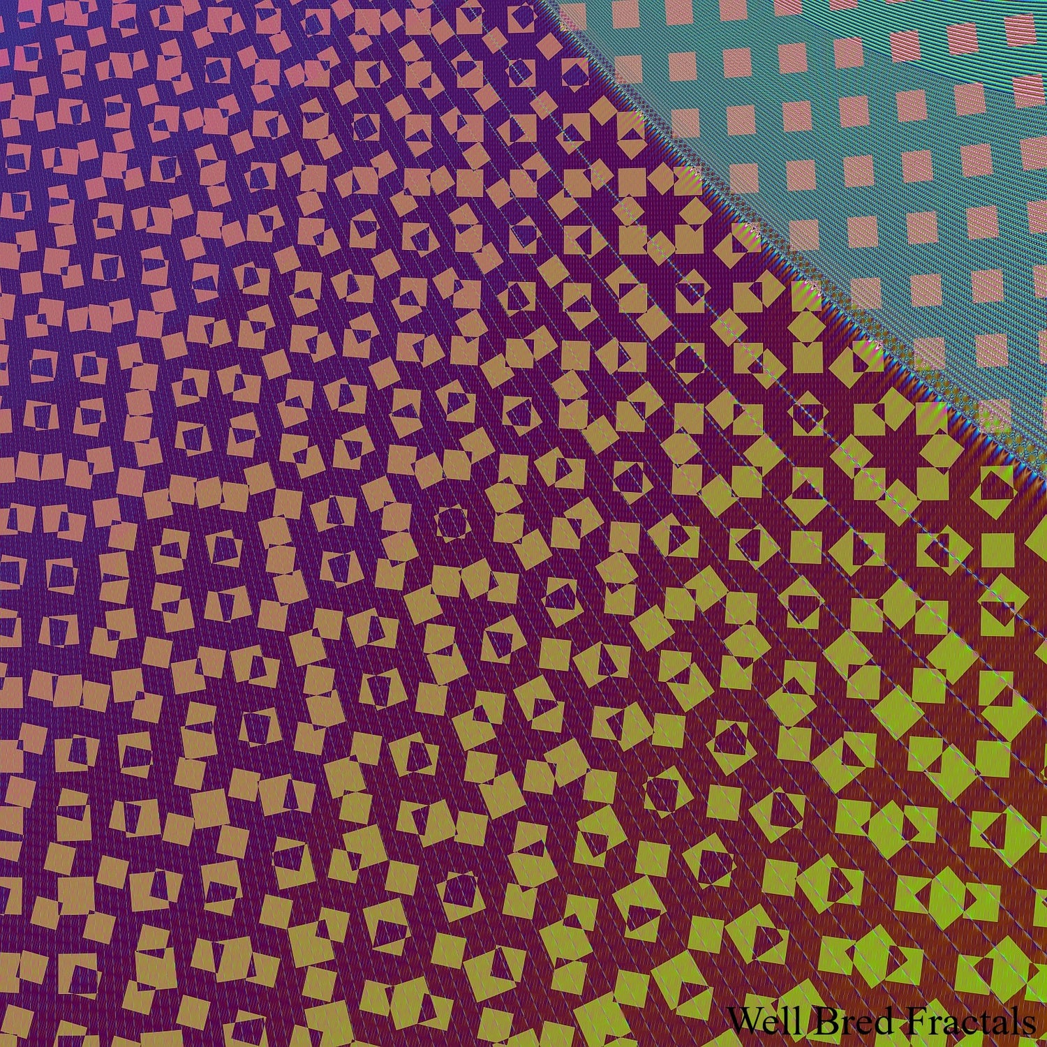 Square Fractal 60