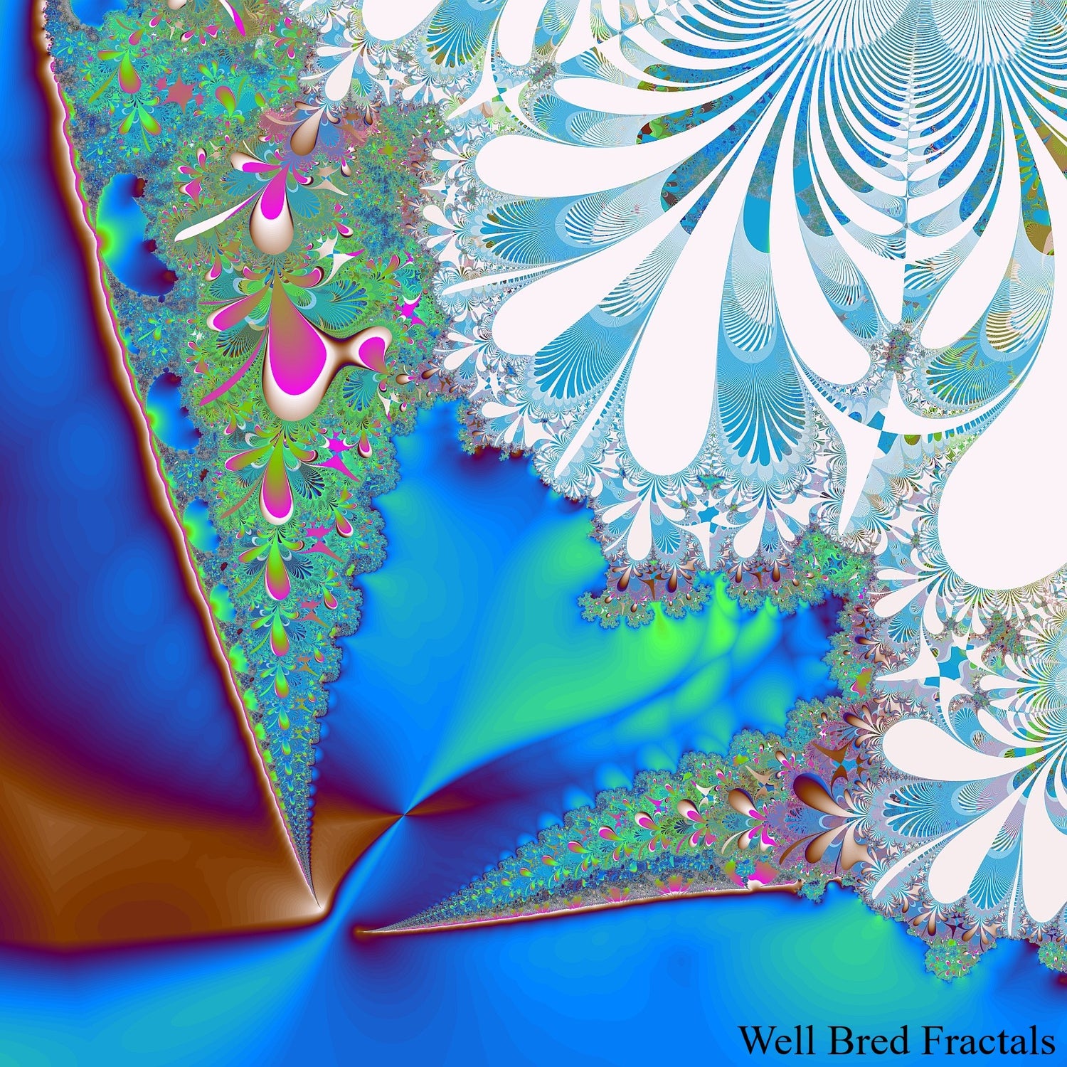 Square Fractal 84