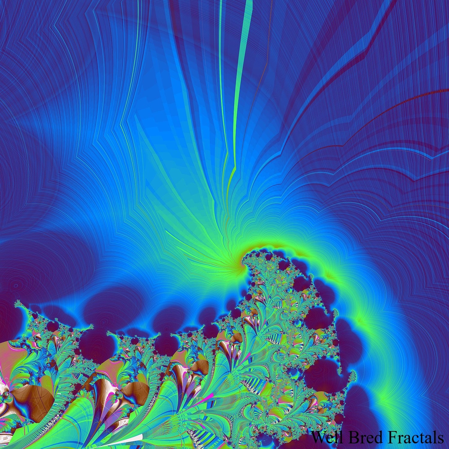 Square Fractal 97