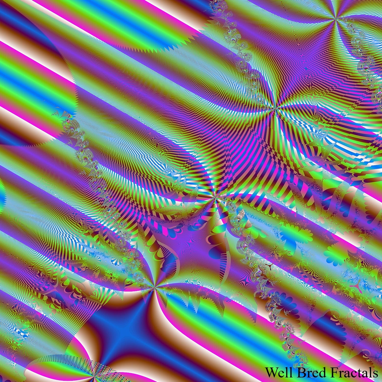 Square Fractal 114