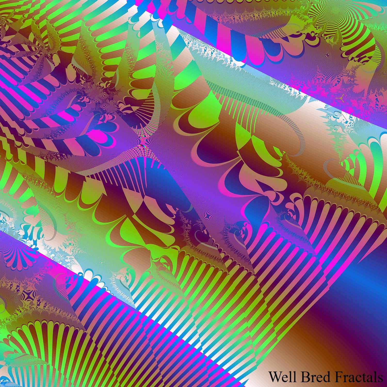 Square Fractal 116