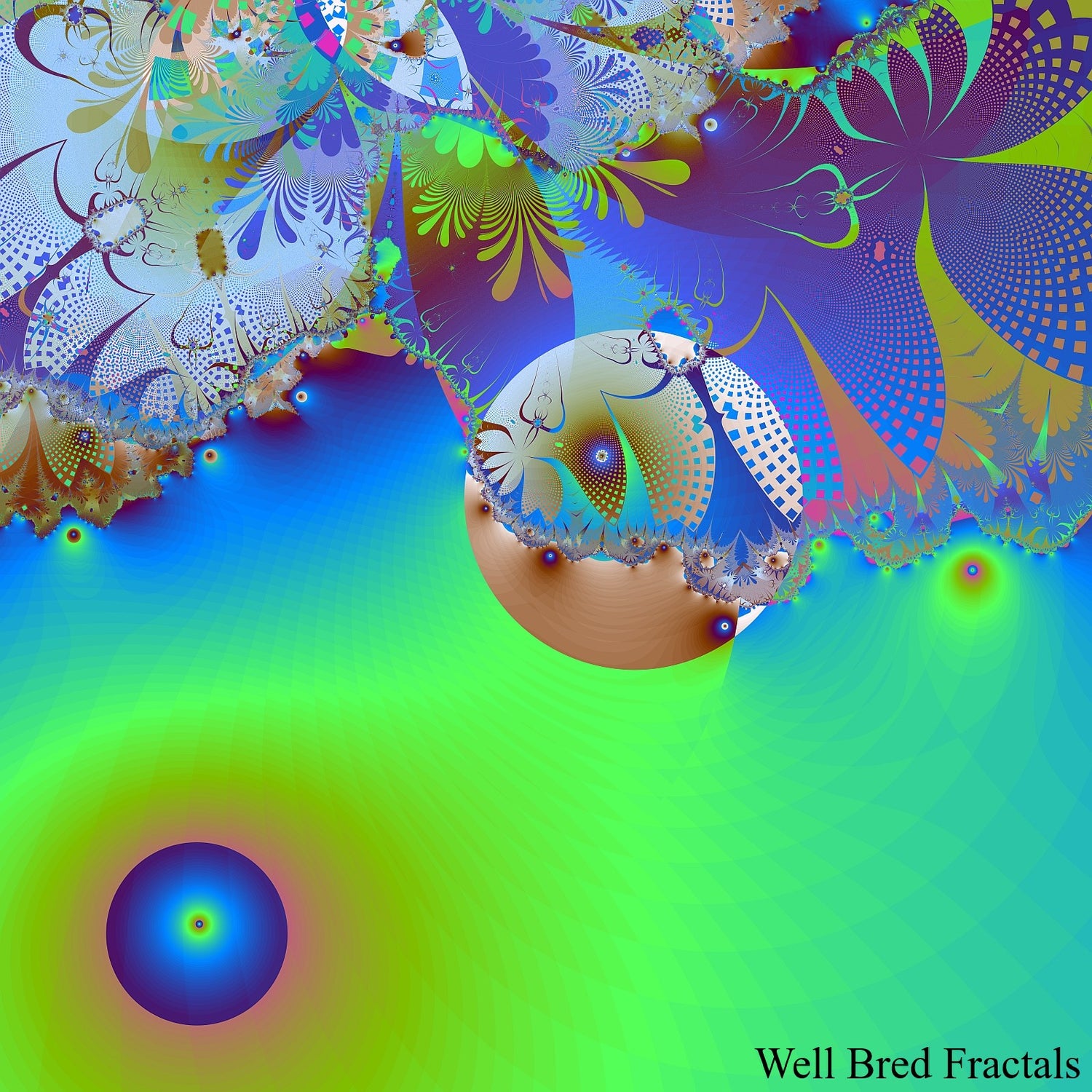 Square Fractal 124