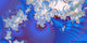 Panoramic Fractal 29