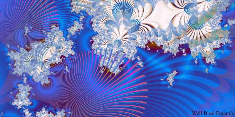 Panoramic Fractal 29