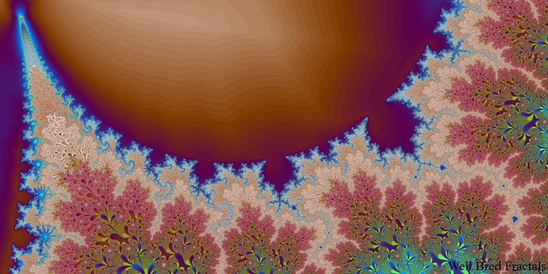 Panoramic Fractal 23