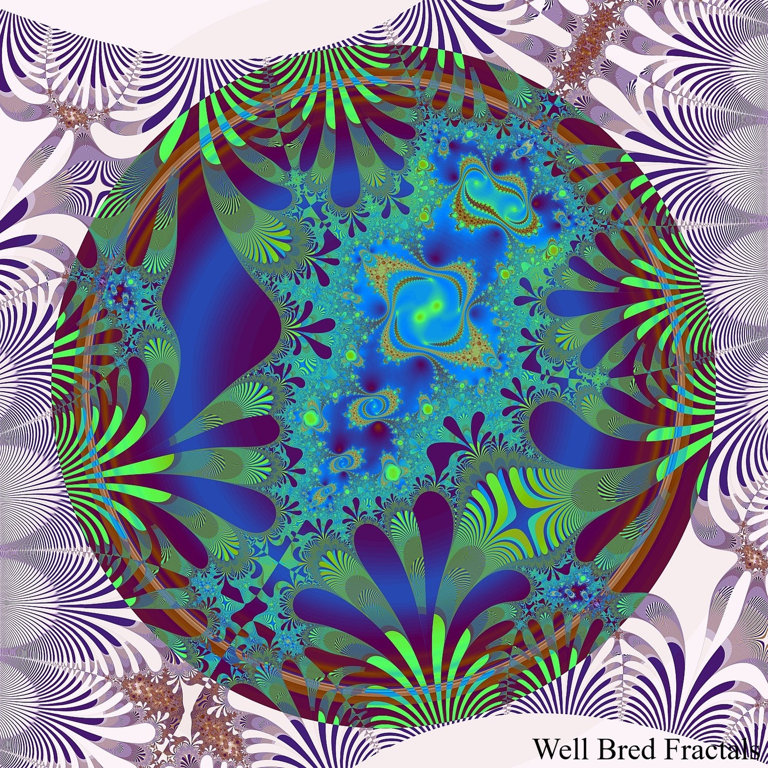 Square Fractal 143